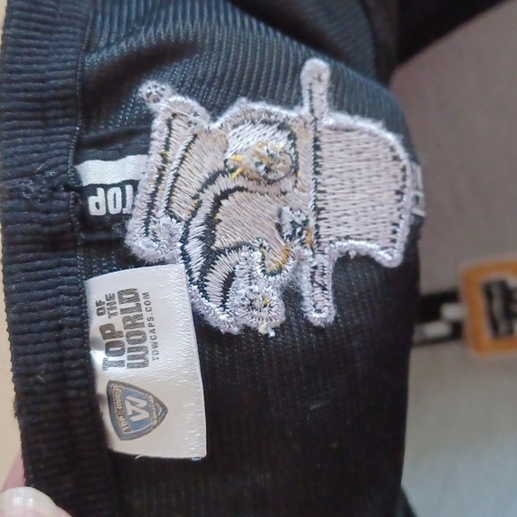 Appalachian State Mountaineers Ball Hat - NWOT - Picture 9 of 10